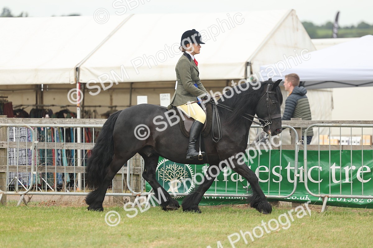 SBM_09097 - Class 78-80 - Ridden M&M Non Welsh Ponies