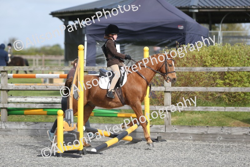 20260412-0088 - Show Jumping
