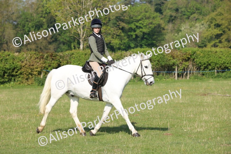 20250427-0502 - Class 17 - Novice Showing