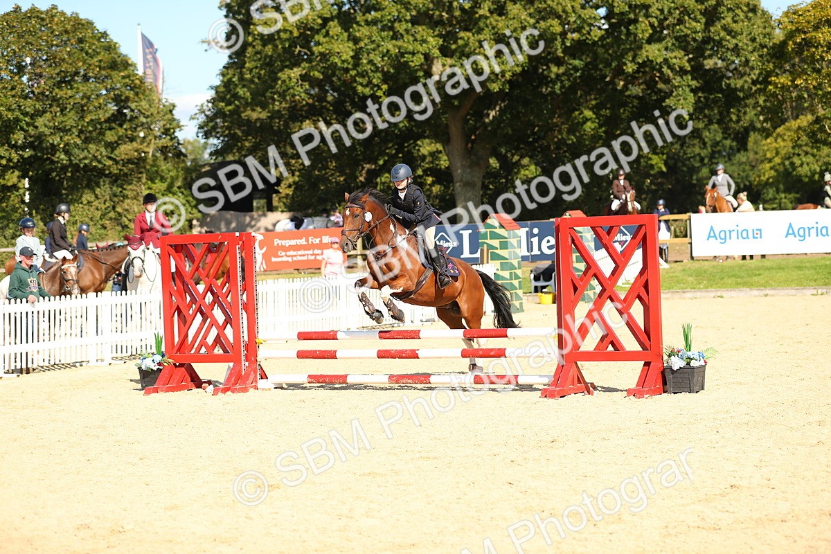 SBM_24304 - J45 - Accumulator 70 80cm