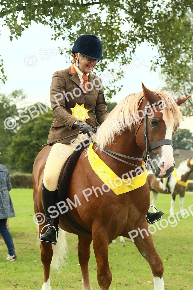 SBM_75077 - Ridden Pony Supreme Championship