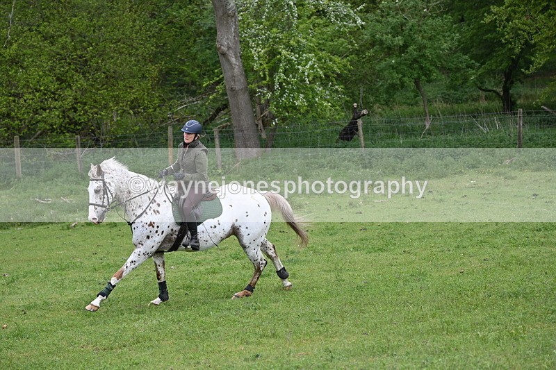 WJ6_2873 - A Camera