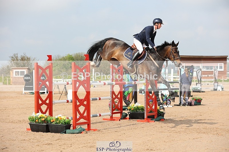 250424-103744-03137 - Cls 33 Young Horse 7yr old