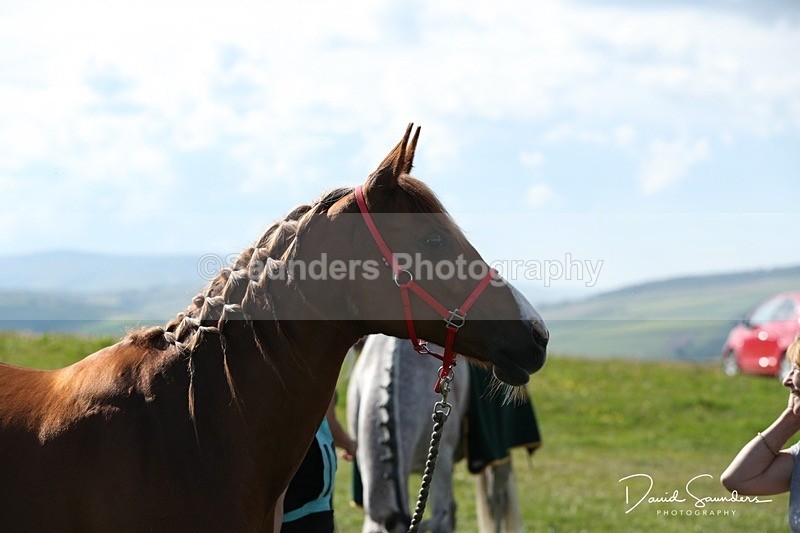 SPXX0055 - Friday vetting