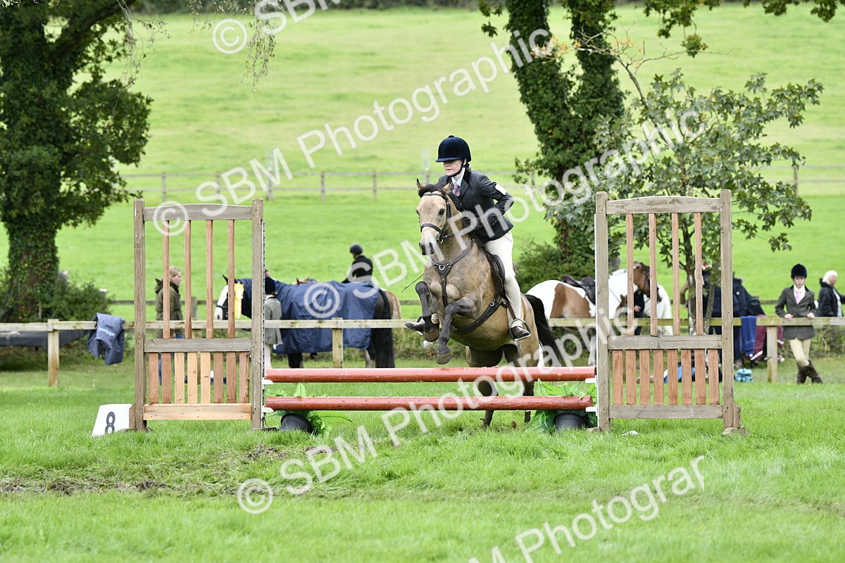 SBM_41357 - S32 - Mountain & Moorland Working Hunter Pony
