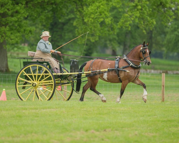 day 2-48 - Attelage 24 Day 2 Cones