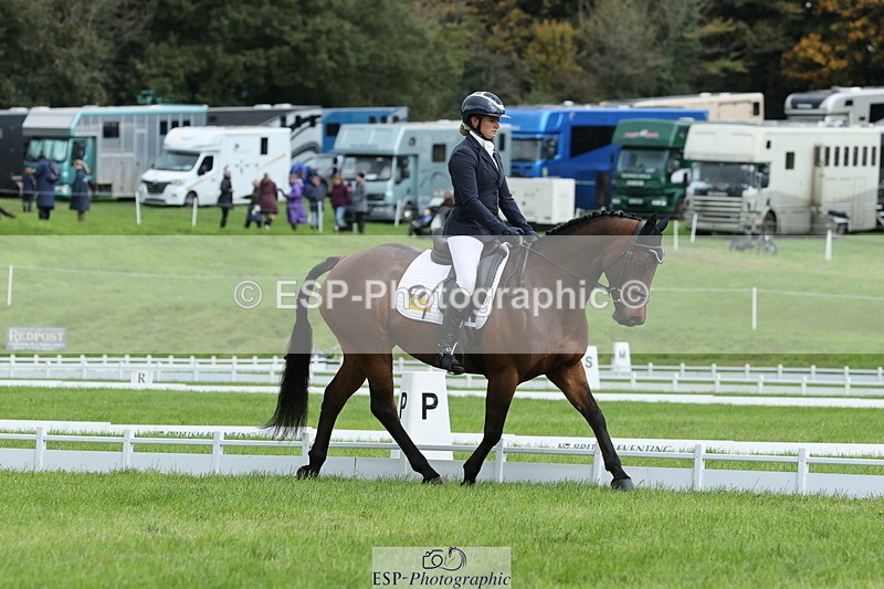 251023A-115013-03424 - E-384-Holly.Horton