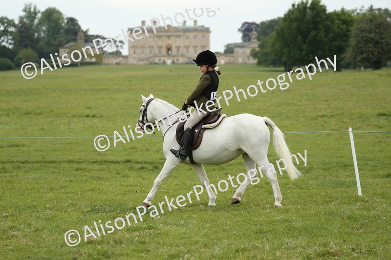 20250517-0412 - Class 20 - Beginners Working Hunter