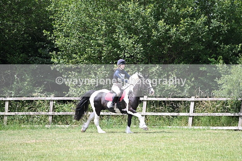 WJ6_6848 - 80cm XC Pairs