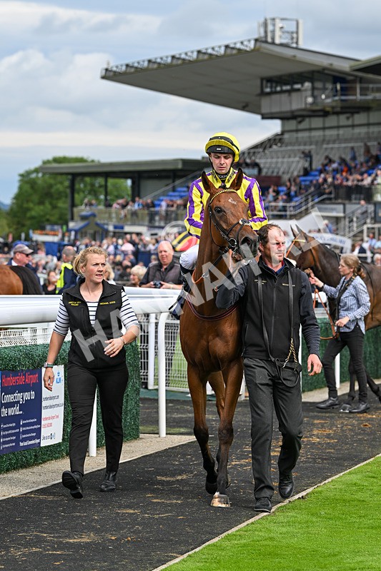 160724-Race 4-Jack Of Clubs-9026 - Race 4