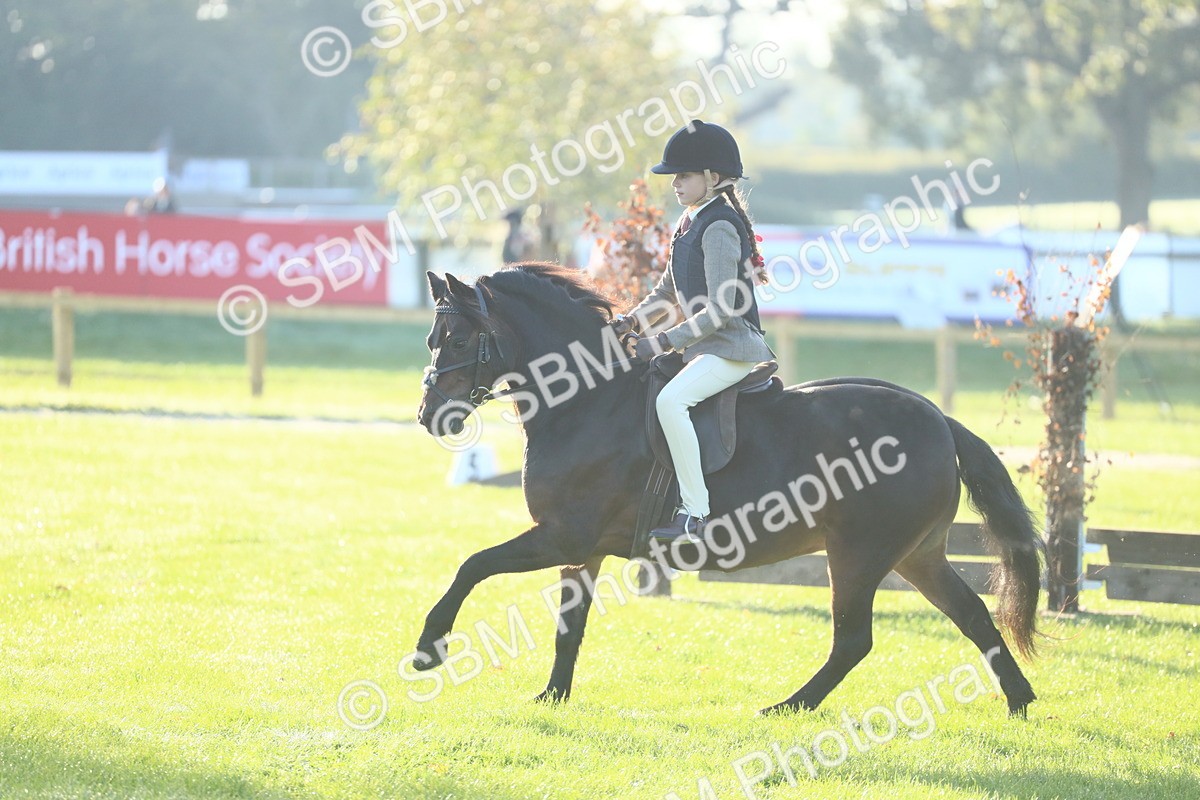 SBM_37330 - S29 - Novice & Newcomers Working Hunter Pony