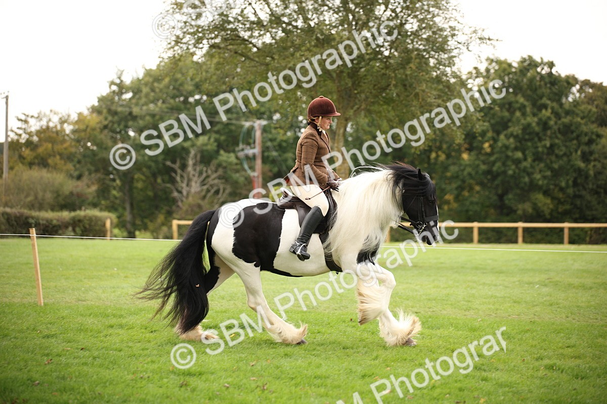 SBM_73600 - S68 - Traditional Cob Ridden