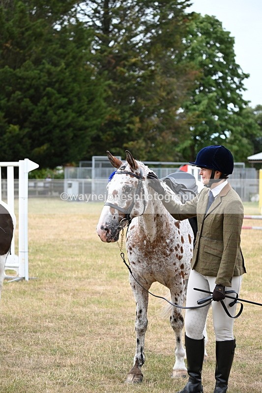 WJ6_3996 - Class 9 Tack & Turnout