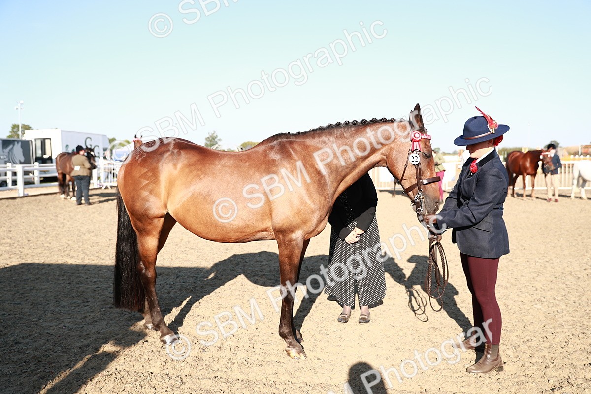 SBM_00066 - Class 40 Best Turned Out IH