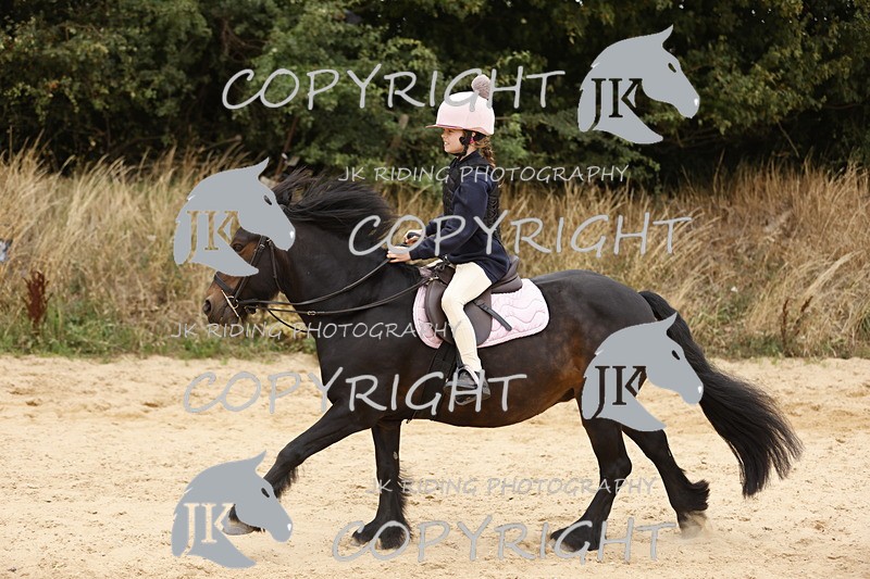 _R6A0991 - Sand arena