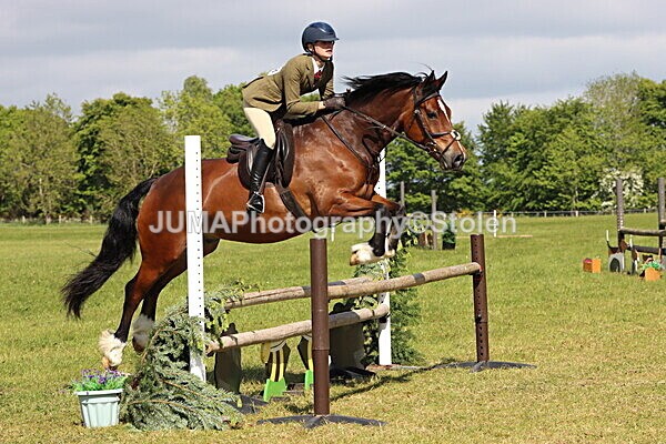 IMG_4711 - Working Hunter