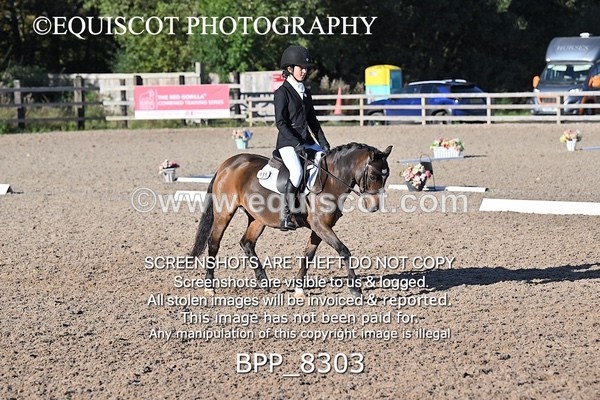 BPP_8303 - LONG ARENA