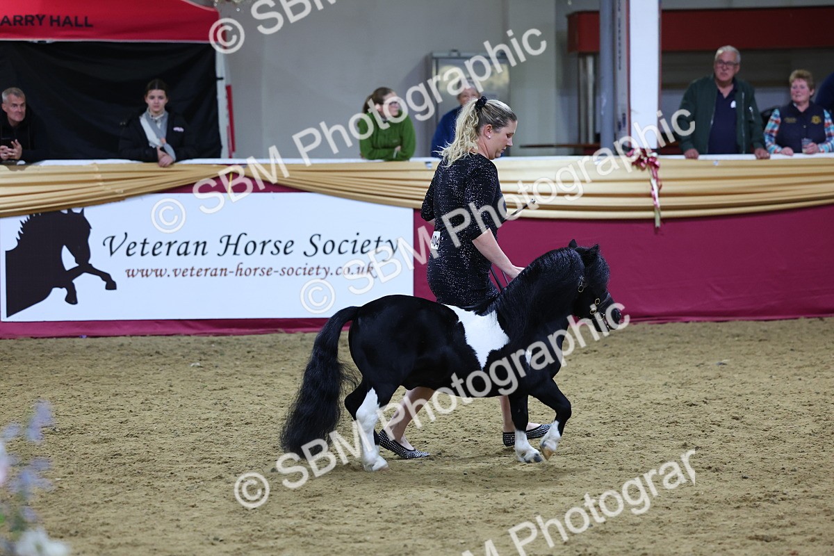 SBM_19231 - Class J Coloured Champ
