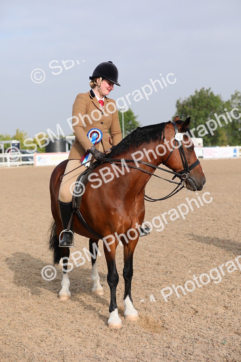 SBM_10163 - Class 302 Ridden M&M -Large Breeds