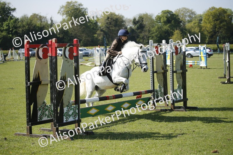 20250427-0439 - Class 12 - Rookie Jumping 40cm