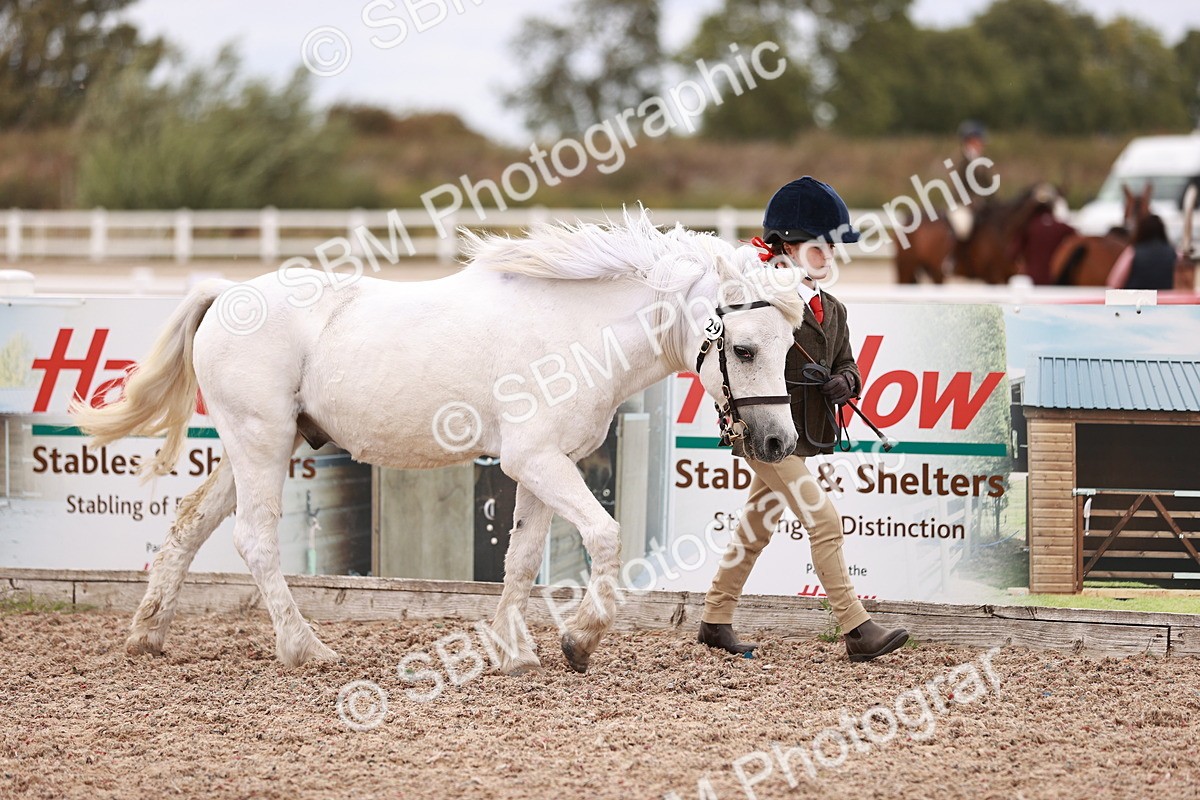 SBM_18552 - Class 421 - Childs Best Friend - Jnr