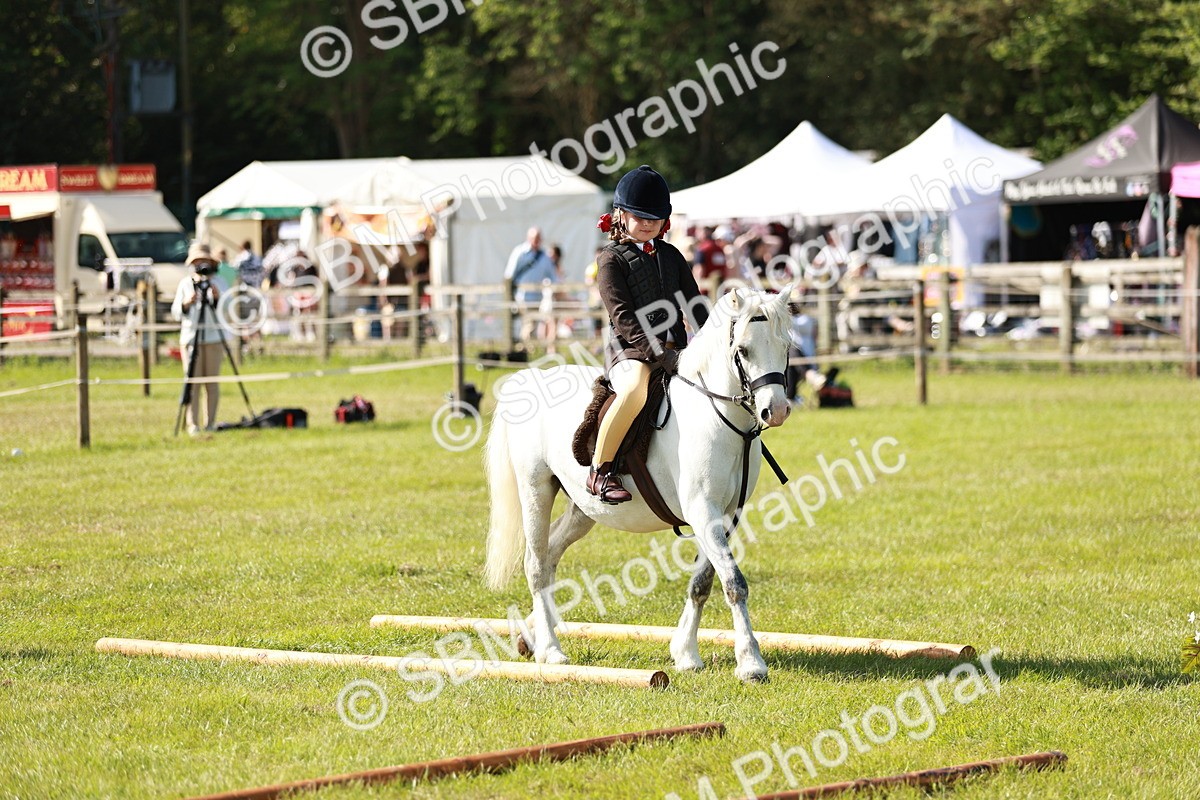 SBM_12620 - Class 106-107 - BSPS LIHS Working Sports Pony