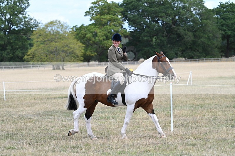 WJ7_4710 - Class 12 Ridden Cob
