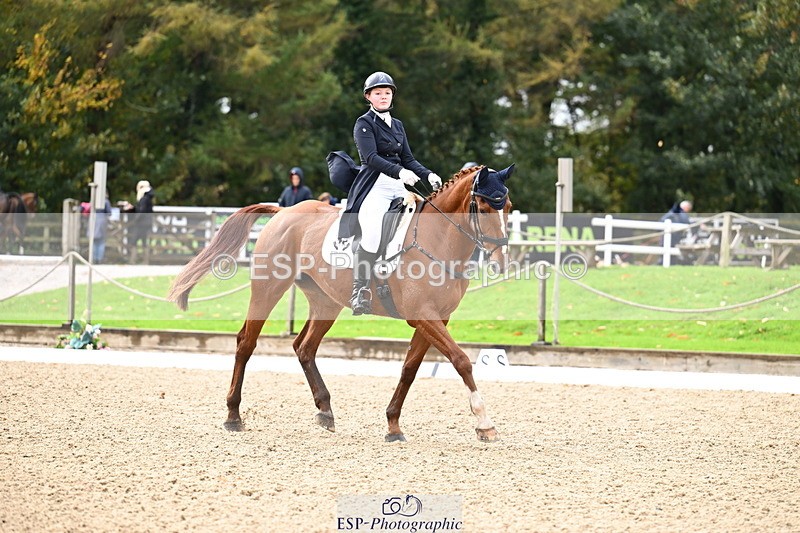 251023A-124042-02294 - B-154-Holly.Law