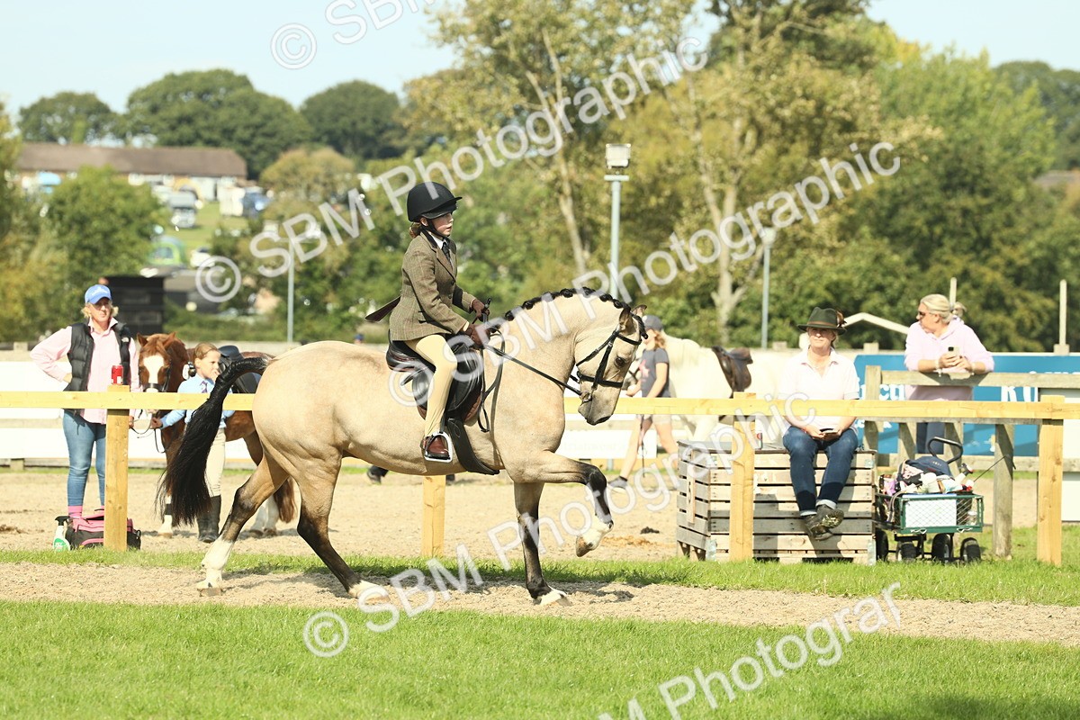 SBM_67633 - S56 - Coloured Pony Ridden