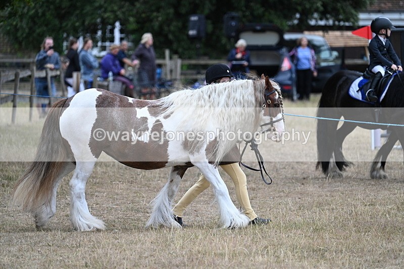 WJ7_8245 - Class 4 Prettiest Mare up to 14.2hh