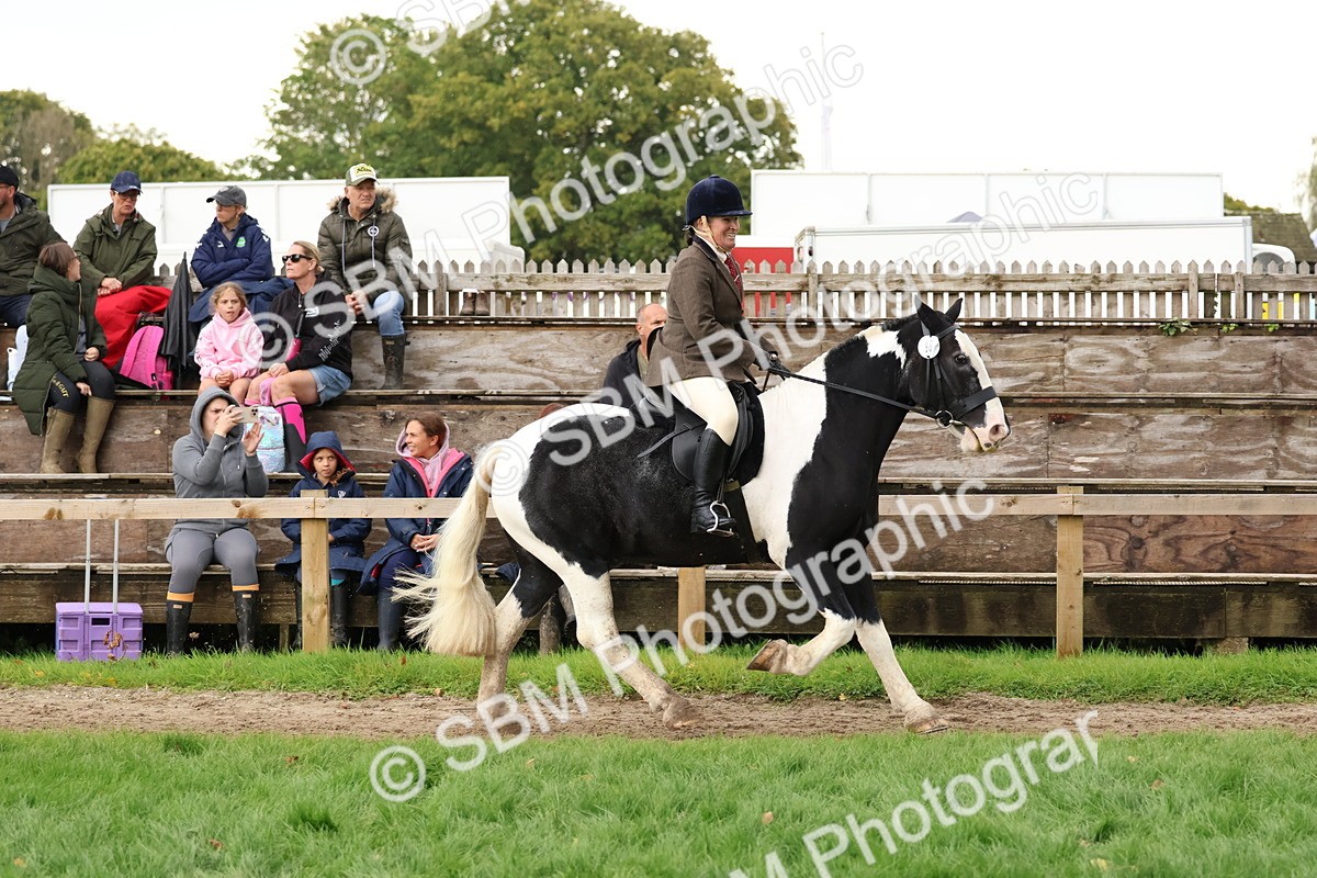 SBM_44996 - S27 - Young Veteran Ridden