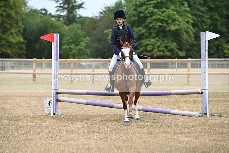 WJ6_0143 - Class 13 Novice Jumping 60cm