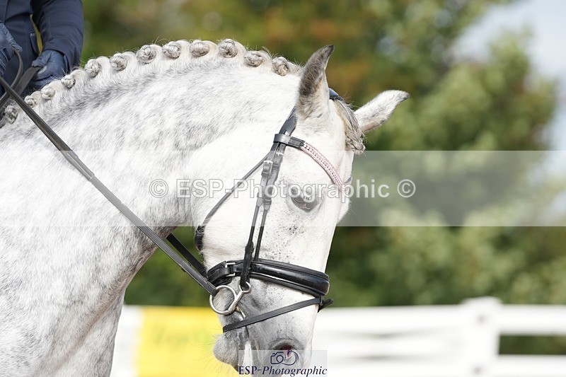 250906-102620-01243 - 029-Emma.DairCastle.Ellis.Esmeralda