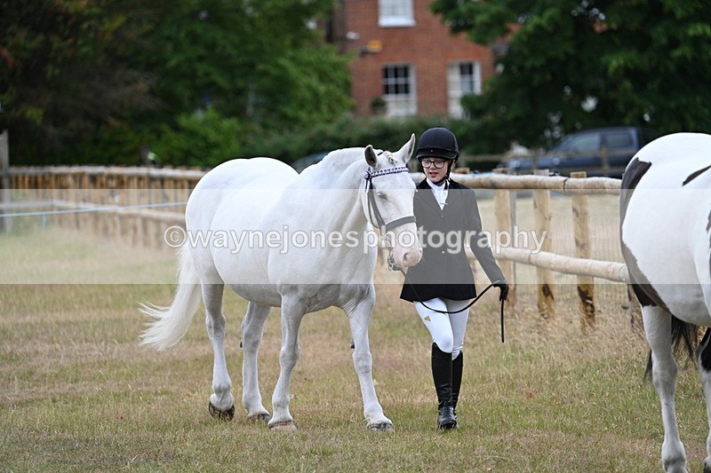 WJ7_9070 - Class 4a Prettiest Mare 14.2hh and over