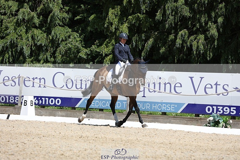 230526-135331-06409 - 369-GIDO_G-Sally_Chamberlain-WEDTrotUp+DR