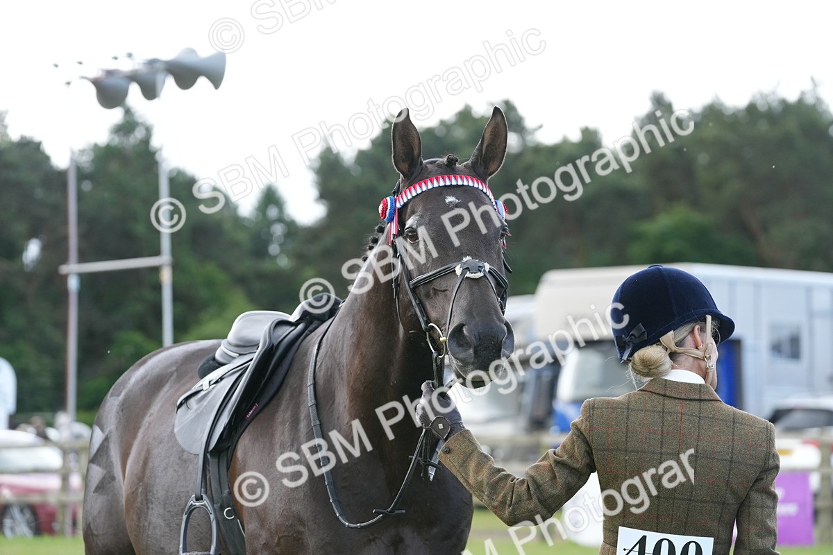 SBM_12954 - Class 99 - RIHS SEIB Working Show Horse