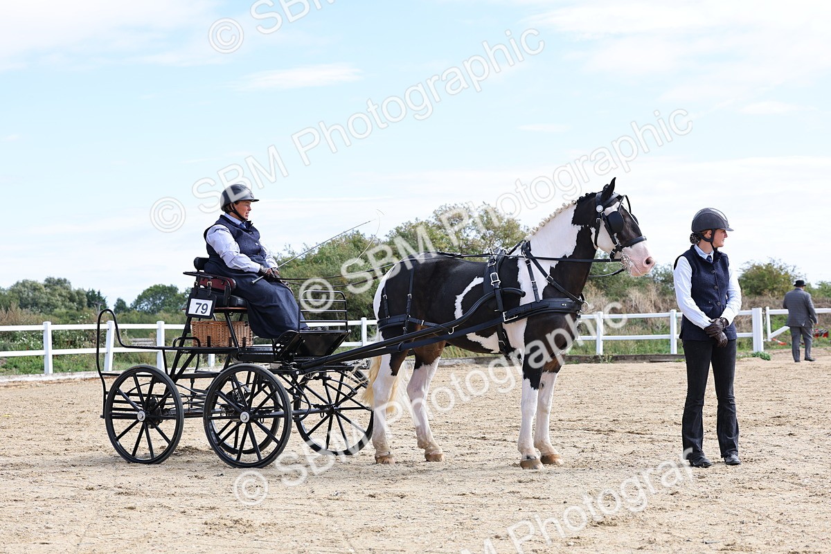 SBM_000921 - Class 8 - Novice Horse or Pony to any vehicle