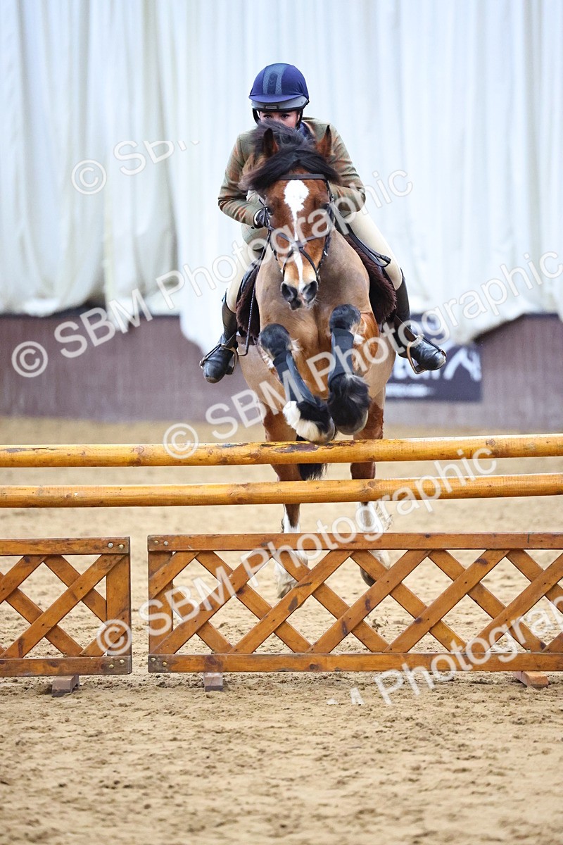 SBM_006588 - Class 43 - RIHS Qualifier Exceeding 43cms