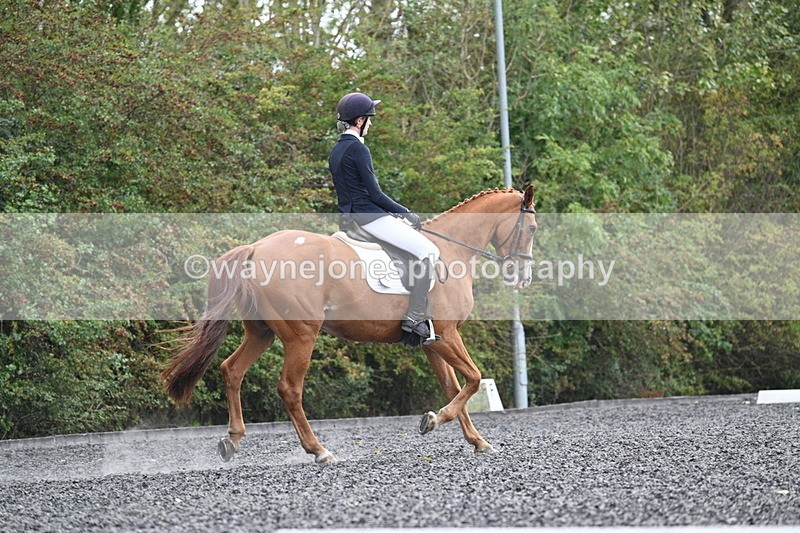 WJ7_6773 - Time 14:49 to 15:14