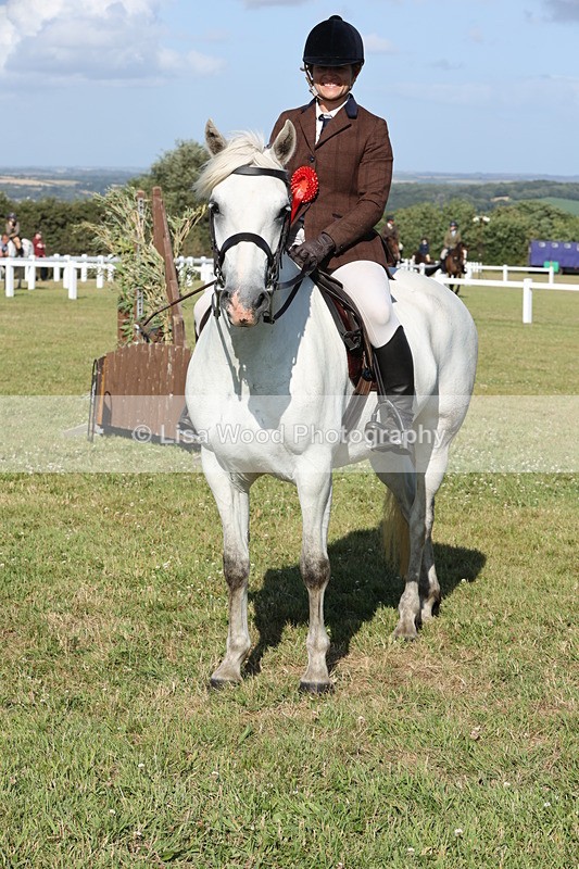 JPP_3041 - Class 20: Working Hunter 70cm