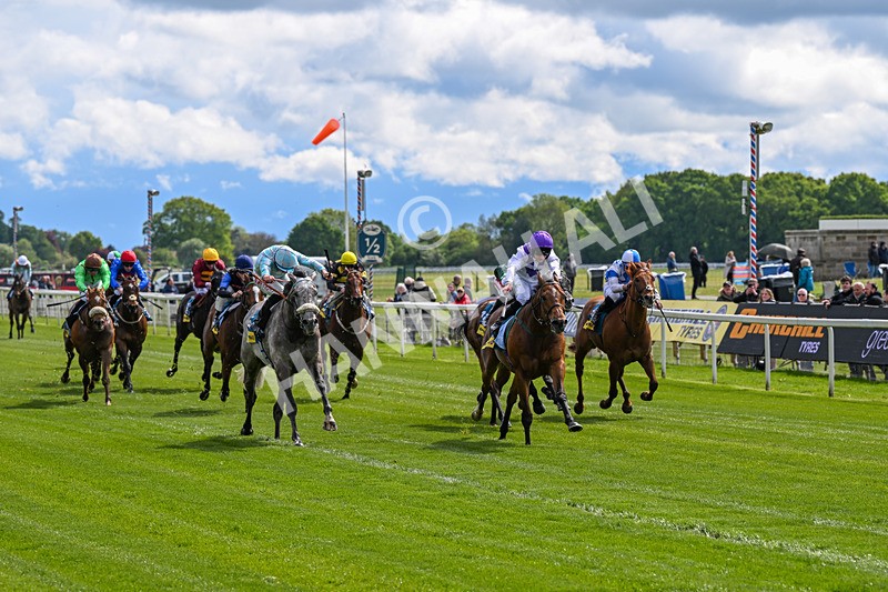 130526-Race 3-Dark Thirty-2772 - Race 3 2.55pm Churchill Tyres Handicap