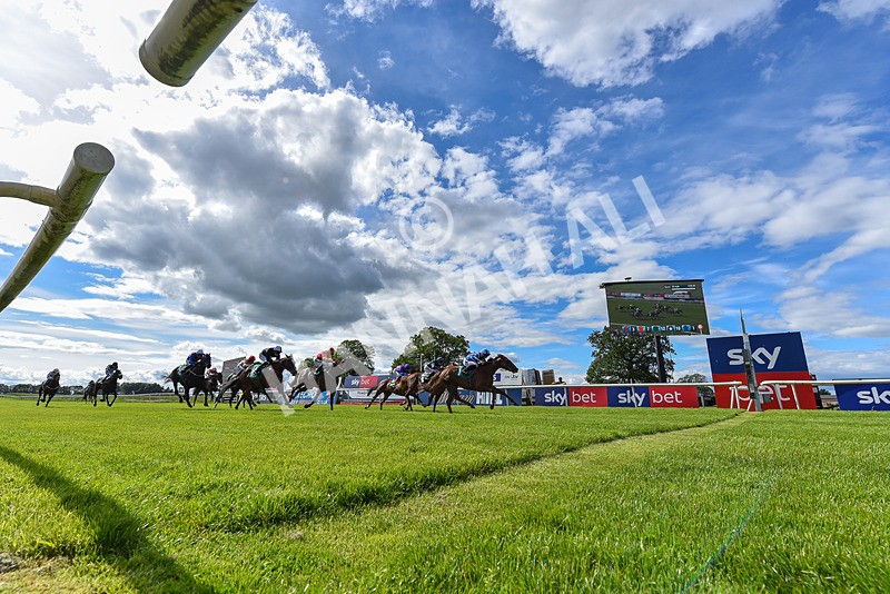 310526-Race 2-Dazzling Haze-9390 - Race 2 16.15pm Flutter Proud To Support Young Lives Vs Cancer Handicap