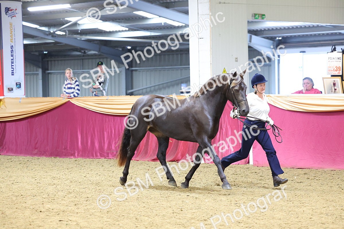 SBM_22801 - Class 903 - Supreme Final - IH Pre Vet