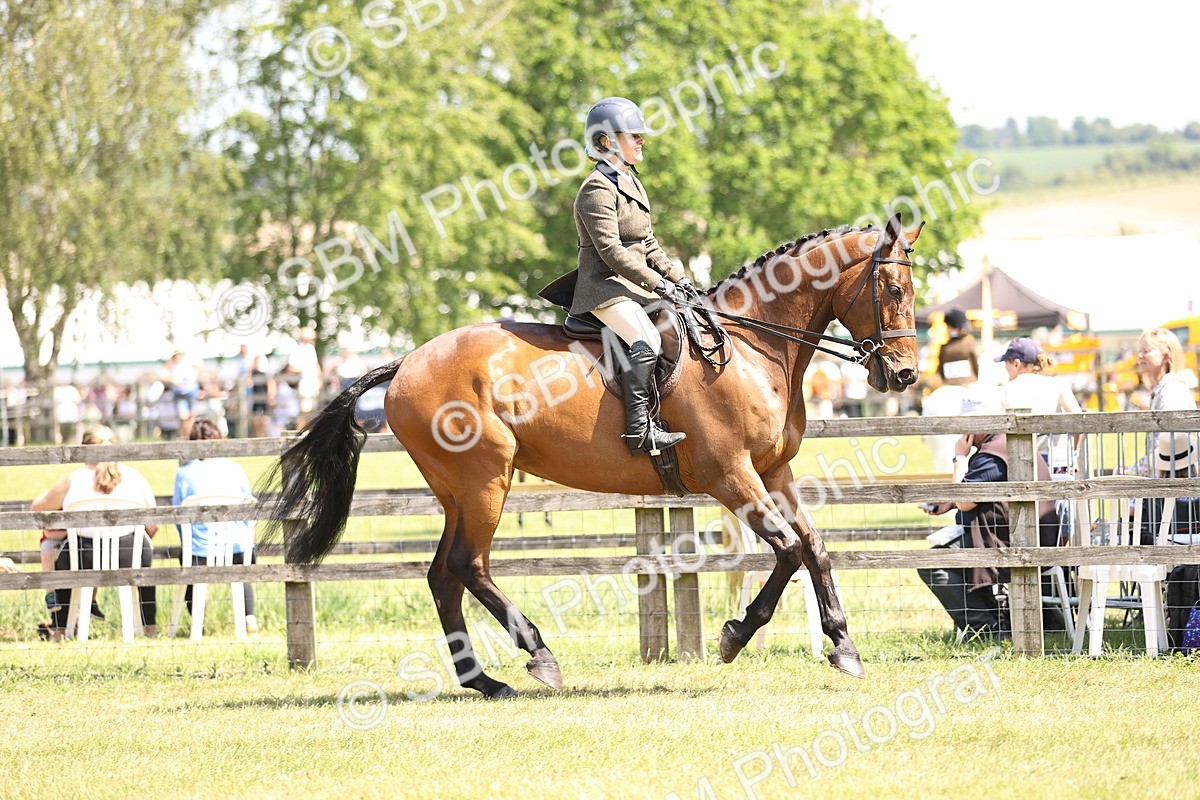 SBM_14887 - Class 78 - LIHS BSHA Open Racehorse & Show Horse