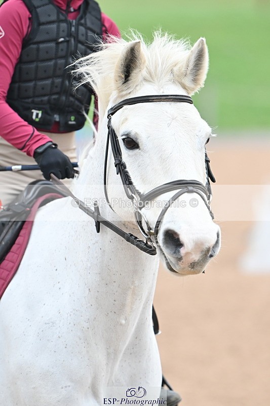 231217A-111159-00450 - 80cm