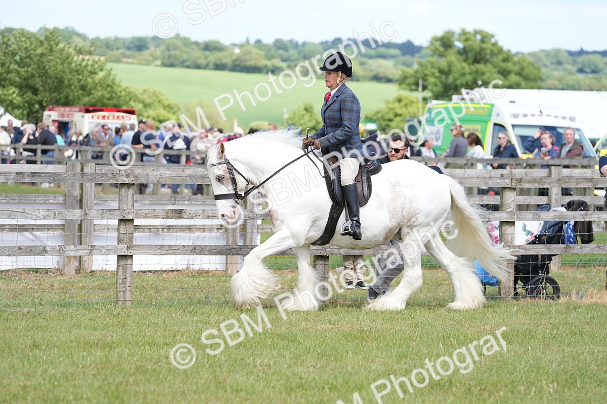 SBM_17168 - Class 107-108 - LIHS BSPS Performance Coloured Horse Pony