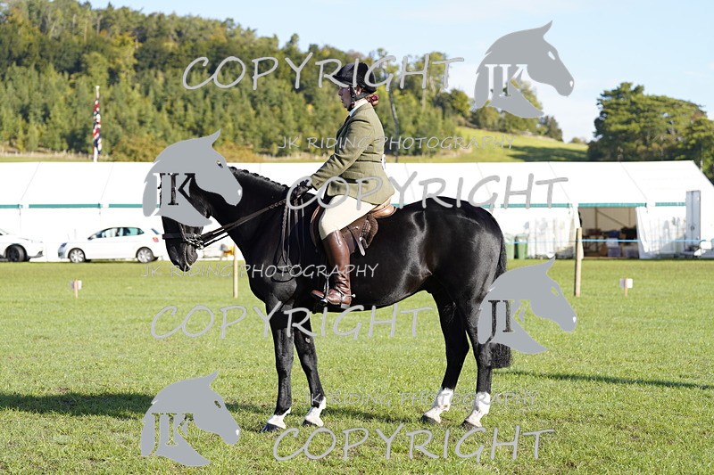 _DSC9437 - Class 8 & 17 Ridden Hunter & Ridden Hunter Pony