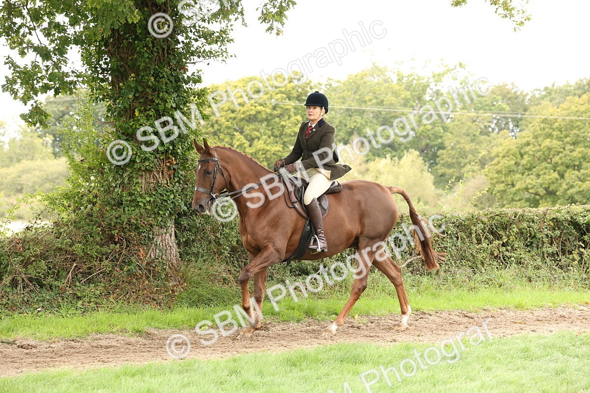 SBM_66353 - S66 - Hunter Ridden