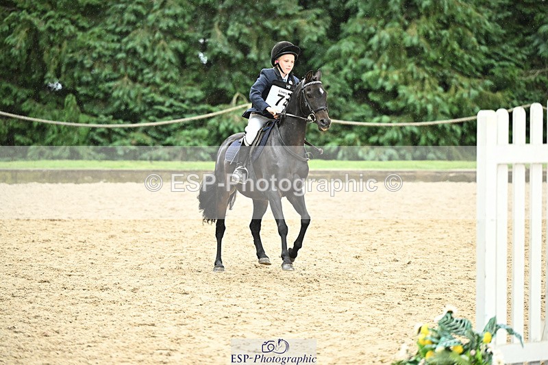 240822X-135648-10066 - 50cm R1 13.00 to 14.00