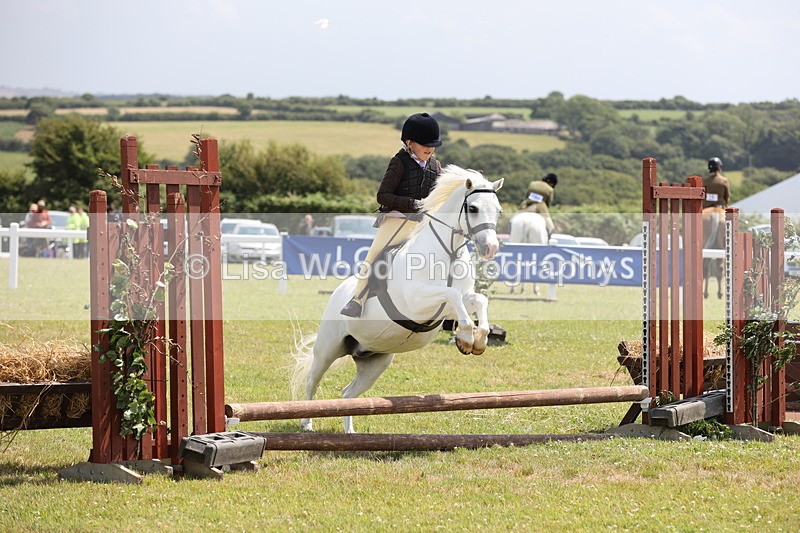 JPP_1841 - Class 18: Tiny Tots Working Hunter Pony